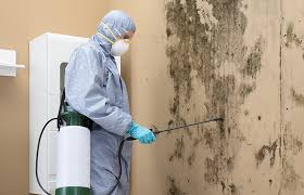 Best Industrial Mold Remediation  in Princeton, MN